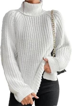 Turtleneck Fashion Women Sweater Knitted Slim Top Fashion Leisure Sweaters Ladies Pullovers Knitwear