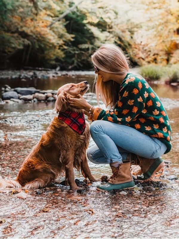 Maple Leaf Pattern Crew Neck Sweater, Casual Long Sleeve Stylish Pullover Sweater, Women's Clothing